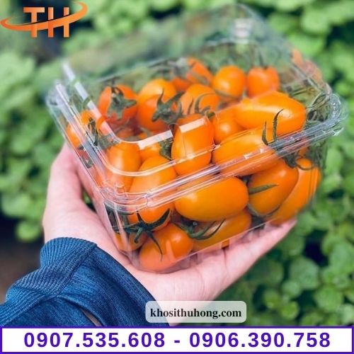 Hộp nhựa đựng trái cây TPHCM 250g