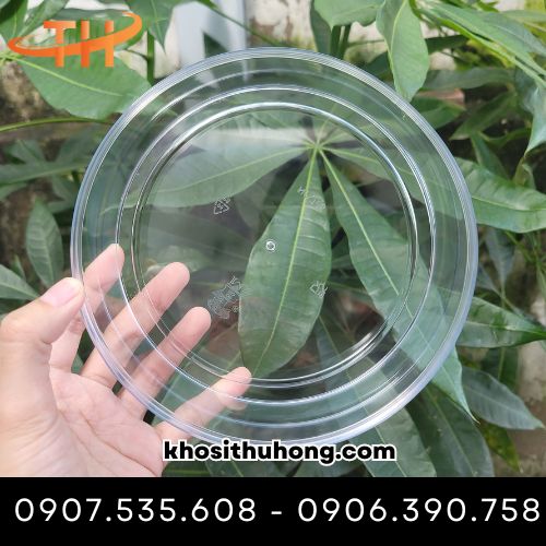 Hộp có độ trong suốt cao