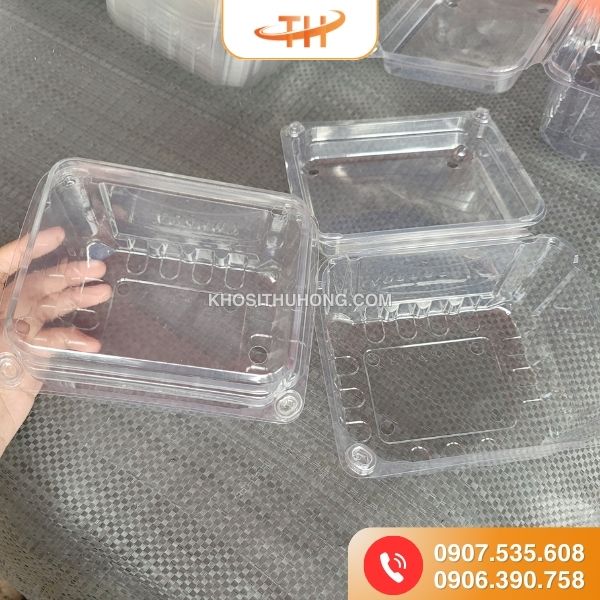 Hộp nhựa đựng trái cây trong suốt 250g, 500g, 1kg chất lượng Hộp nhựa đựng trái cây trong suốt 250g, 500g, 1kg chất lượng