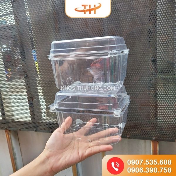 Hộp nhựa đựng trái cây kích cỡ 250g Hộp nhựa đựng trái cây kích cỡ 250g