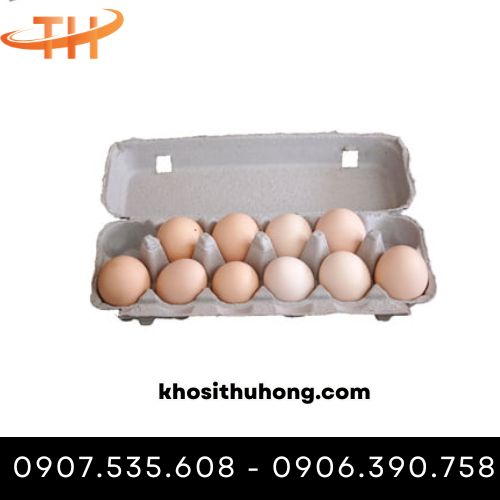 Vỉ đựng trứng gà bằng giấy