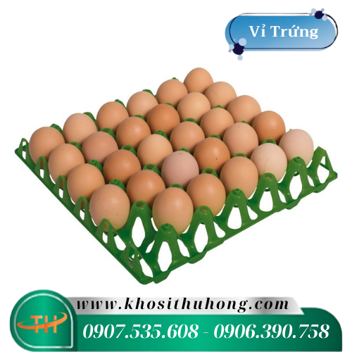 Khay vỉ trứng bằng nhựa Pp