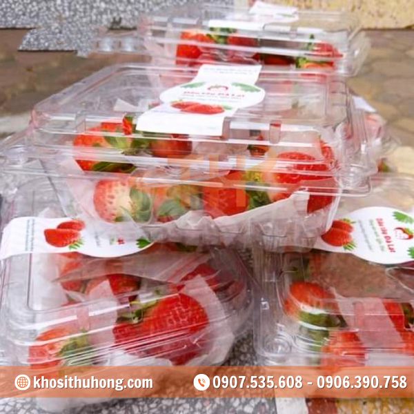 Nắp gài chắc chắn - Hạn chế dập nát Nắp gài chắc chắn - Hạn chế dập nát