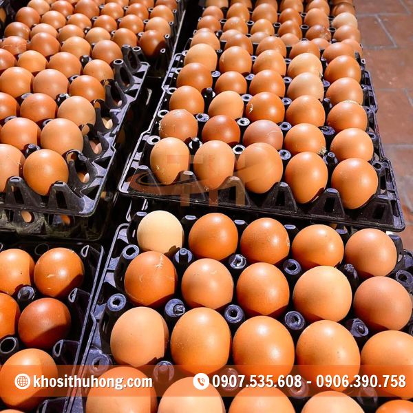 Thiết kế gồm 30 hốc giúp cố định trứng gọn gàng Thiết kế gồm 30 hốc giúp cố định trứng gọn gàng