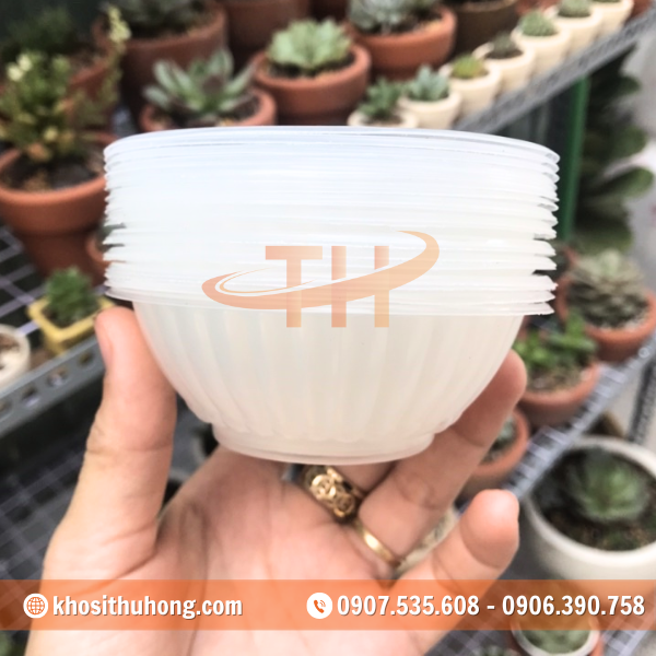 Thu Hồng - Đơn vị chuyên phân phối chén nhựa dùng 1 lần với nguồn hàng ổn định Thu Hồng - Đơn vị chuyên phân phối chén nhựa dùng 1 lần với nguồn hàng ổn định