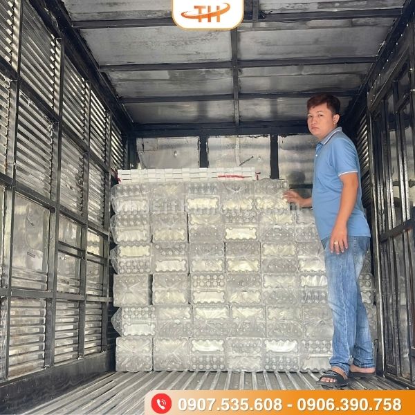 Thu Hồng giao đơn sỉ vỉ trứng dùng 1 lần Thu Hồng giao đơn sỉ vỉ trứng dùng 1 lần