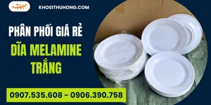 Nguồn hàng dĩa Melamine trắng giá rẻ tại kho sỉ miền Nam