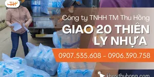 Giao sỉ 20 thiên ly nhựa PET cho khách sỉ TPHCM