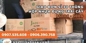 Giao sỉ hộp nhựa đựng trái cây 500g P500C - Hàng chuẩn giá rẻ