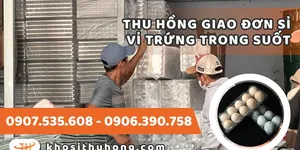 Thu Hồng giao đơn vỉ trứng gà dùng 1 lần giá sỉ rẻ về Phú Quốc