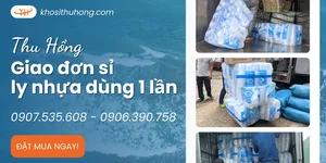 Dịch vụ giao sỉ ly nhựa dùng 1 lần tận nơi tại Thu Hồng
