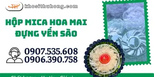 Đơn vị sỉ hộp mica hoa mai đựng yến sào chất lượng cao, giá tốt