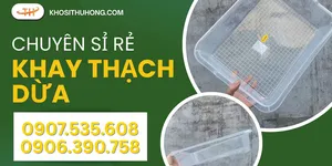 Phân phối sỉ toàn quốc khay thạch dừa giá ưu đãi cực sâu