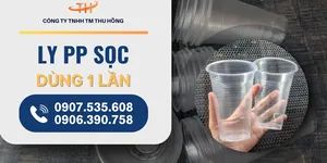 Ly PP sọc bán sỉ - Giá tốt, chất lượng cao