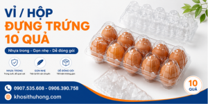 Vỉ/ hộp đựng trứng 10 quả bằng nhựa hạn chế móp vỡ chống va đập 