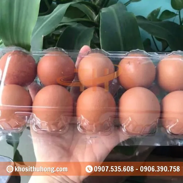 Vỉ Nhựa Đựng Trứng Gà Vịt 10 Quả