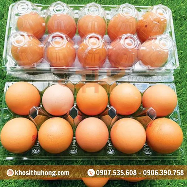 Vỉ Nhựa Đựng Trứng Gà Vịt 10 Quả