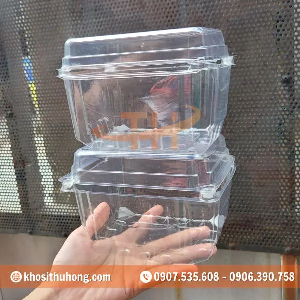 Hộp Nhựa Đựng Trái Cây 500g