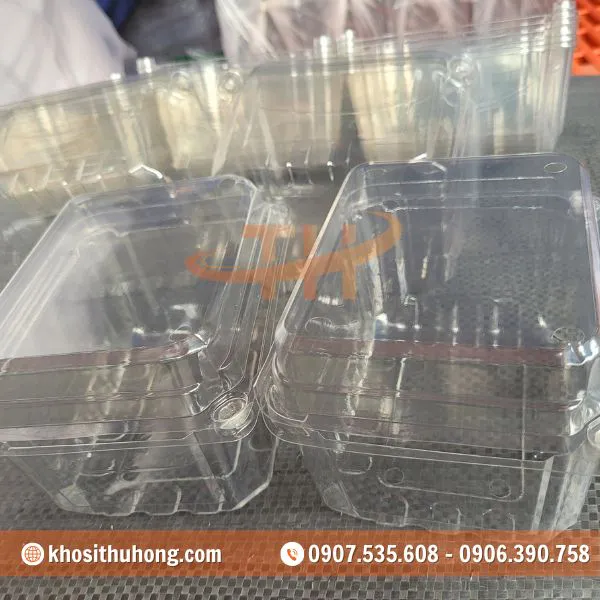 Hộp Nhựa Đựng Trái Cây 1Kg