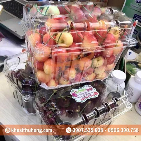 Hộp Nhựa Đựng Trái Cây 1Kg