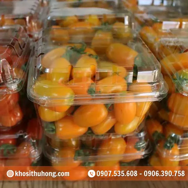 Hộp Nhựa Đựng Trái Cây 500g
