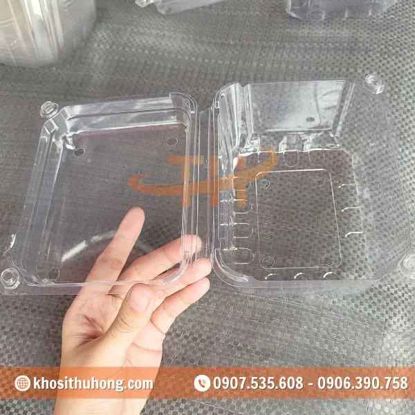 Hộp Nhựa Đựng Trái Cây 1Kg