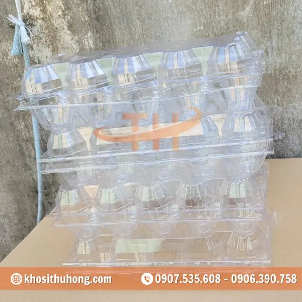 Vỉ Nhựa Đựng Trứng Gà Vịt 10 Quả