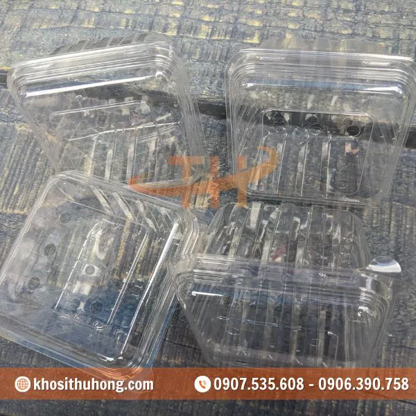 Hộp Nhựa Đựng Trái Cây 500g