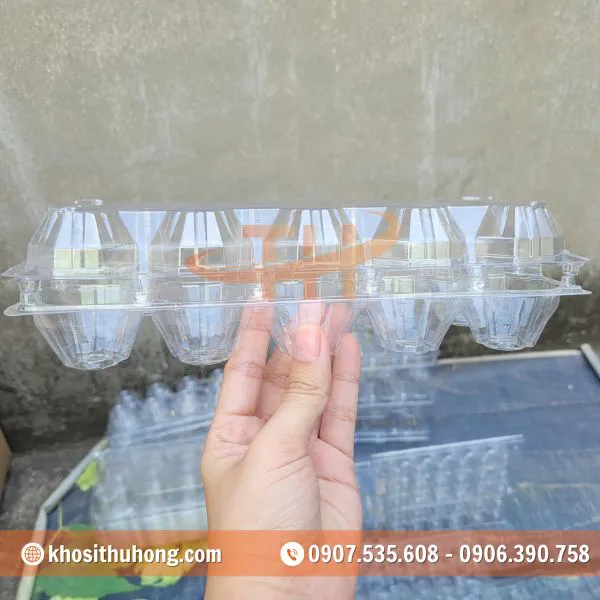 Vỉ Nhựa Đựng Trứng Gà Vịt 10 Quả