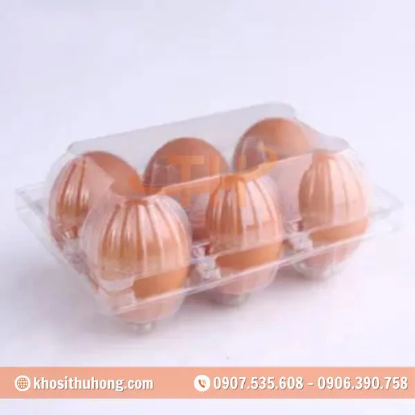 Vỉ Nhựa Đựng Trứng Gà Vịt 6 Quả