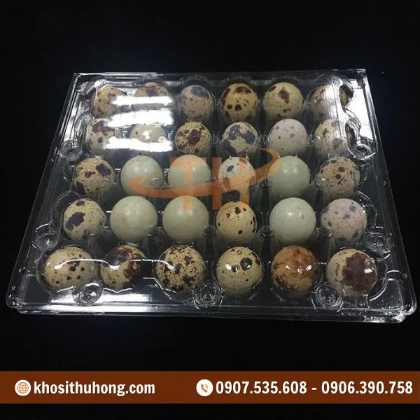 Vỉ Nhựa Đựng Trứng Cút 30 Quả