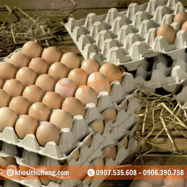 Vỉ Trứng Giấy 30 Quả