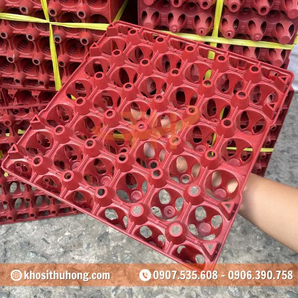 Vỉ Nhựa Đựng Trứng Gà Vịt 30 Quả