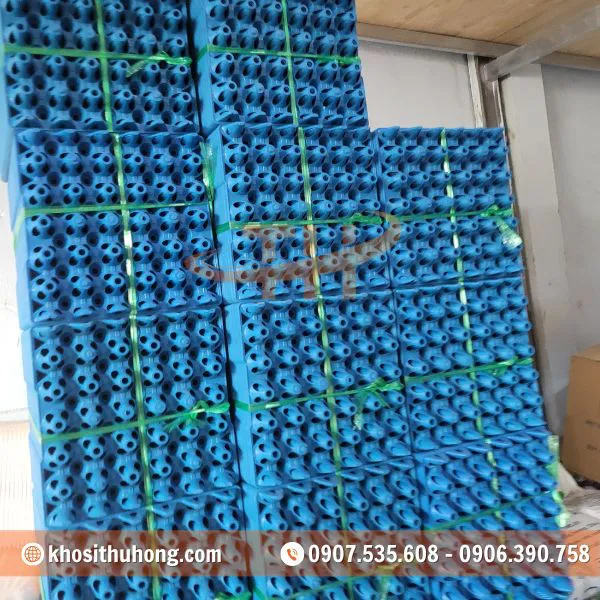 Vỉ Nhựa Đựng Trứng Gà Vịt 30 Quả