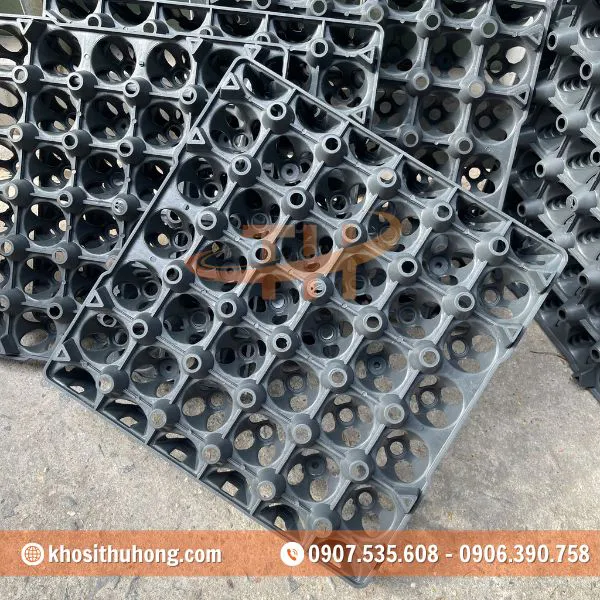 Vỉ Nhựa Đựng Trứng Gà Vịt 30 Quả