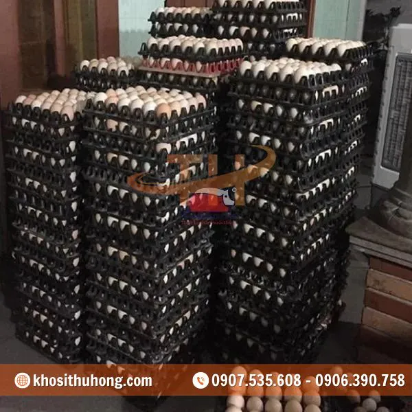 Vỉ Nhựa Đựng Trứng Gà Vịt 30 Quả