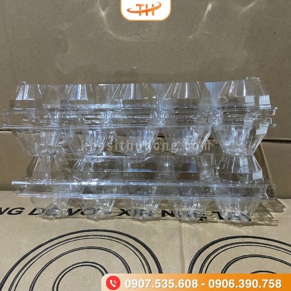 Vỉ đựng trứng 10 quả với trọng lượng gọn nhẹ Vỉ đựng trứng 10 quả với trọng lượng gọn nhẹ