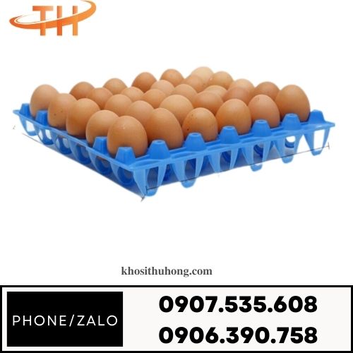 Vỉ nhựa PP
