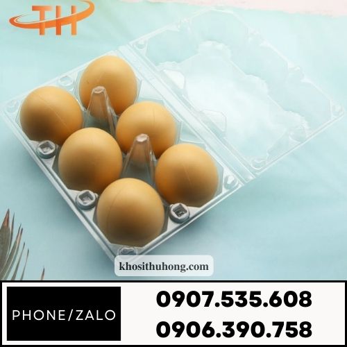 Vỉ đựng trứng 6 quả