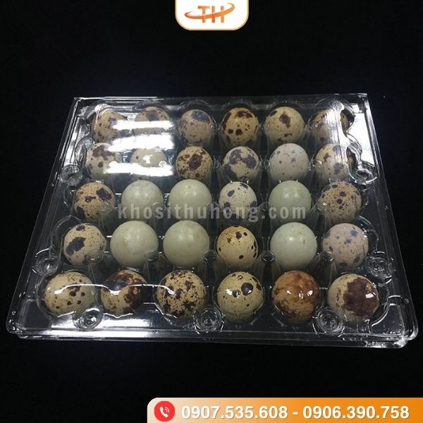Vỉ đựng trứng cút 30 quả bảo quản trứng an toàn Vỉ đựng trứng cút 30 quả bảo quản trứng an toàn