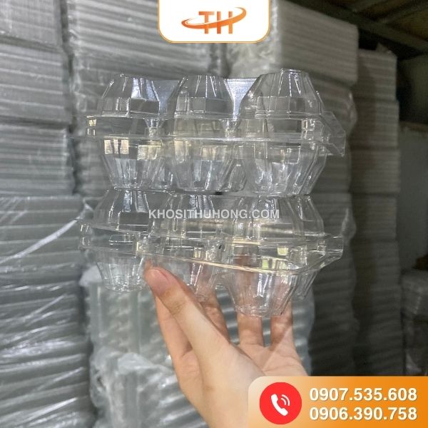 Vỉ đựng trứng gà vịt 6 quả chất lượng giá rẻ chất lượng Vỉ đựng trứng gà vịt 6 quả chất lượng giá rẻ chất lượng