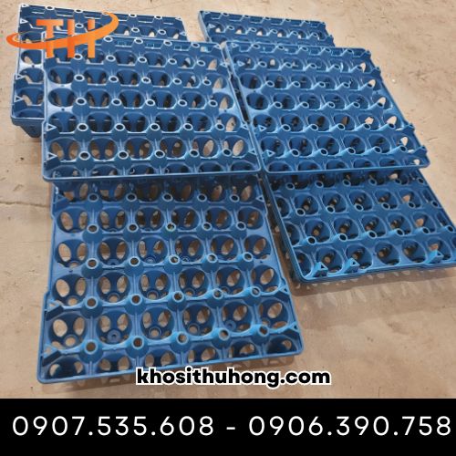 Vỉ trứng 30 quả