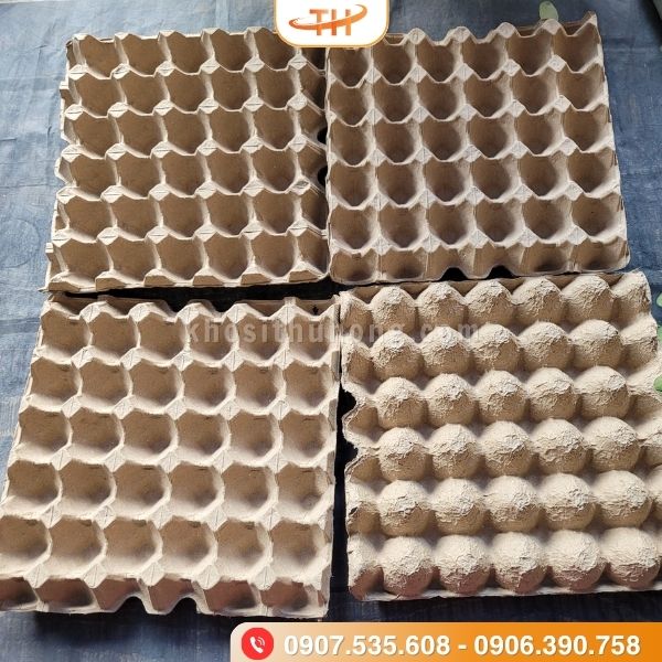 Vỉ trứng đựng giấy giá sỉ rẻ tại kho Thu Hồng Vỉ trứng đựng giấy giá sỉ rẻ tại kho Thu Hồng