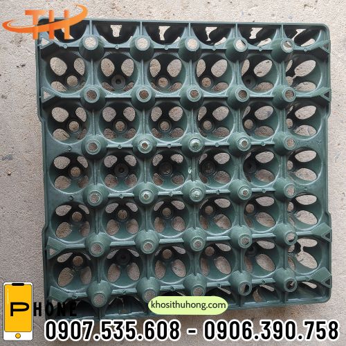 Vỉ đựng trứng PP màu xanh quân đội