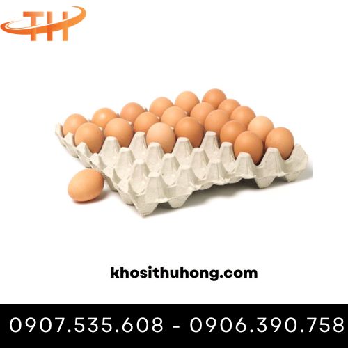 Mua vỉ trứng giấy cũ