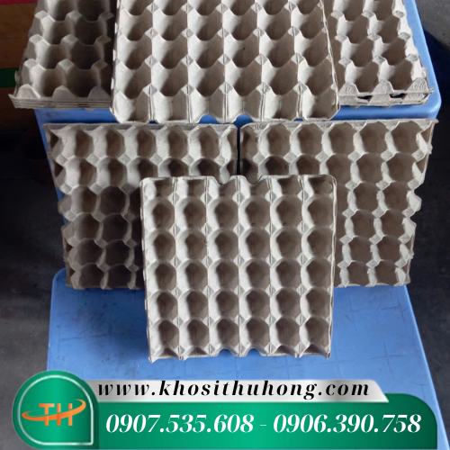 Khay vỉ đựng trứng bằng giấy