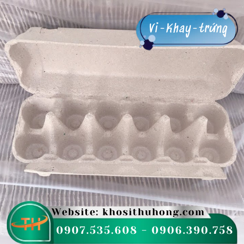 Vỉ giấy - khay nhựa đựng trứng