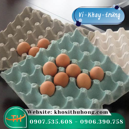 Vỉ giấy ngăn đựng 30 quả trứng