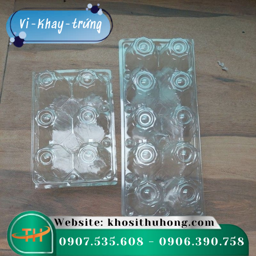 Vỉ nhựa (hộp đựng trứng)