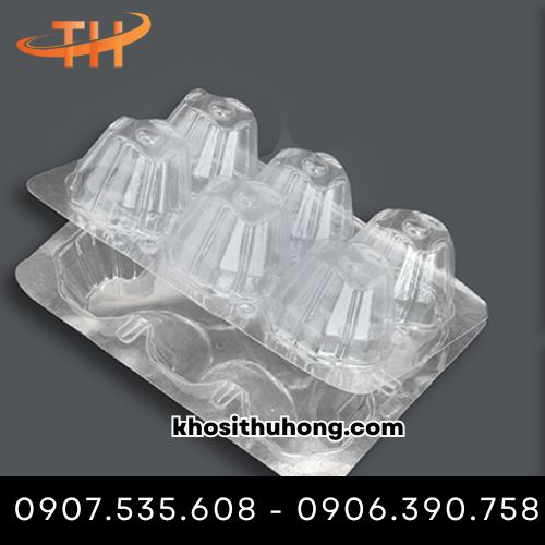 Vĩ nhựa dùng để đựng trứng gà, vịt